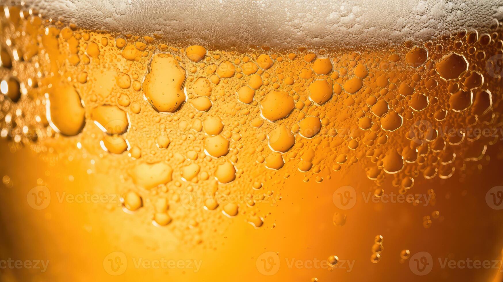 froth beer head photo
