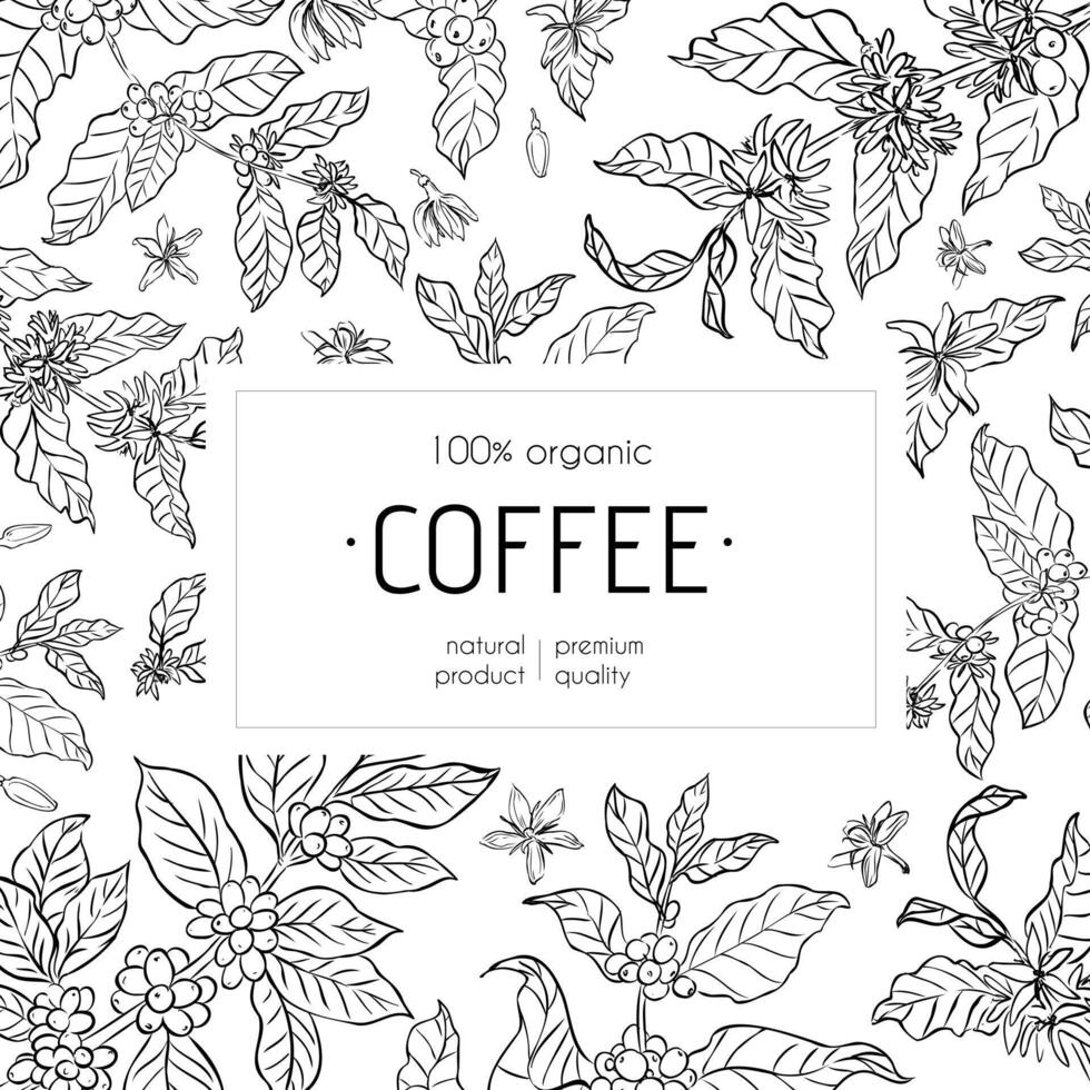 A black and white coffee packaging design featuring hand-drawn coffee plant branches, beans, and flowers with an elegant organic theme. vector