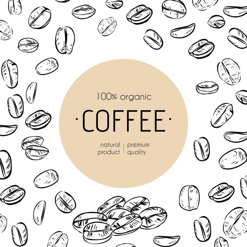 A stylish coffee packaging design featuring hand-drawn coffee beans on a white background with a beige accent, emphasizing organic and premium quality. vector