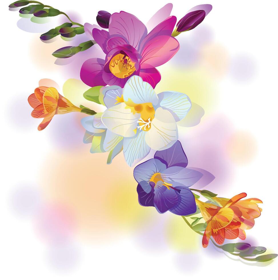 Greeting card with gentle freesia flowers vector