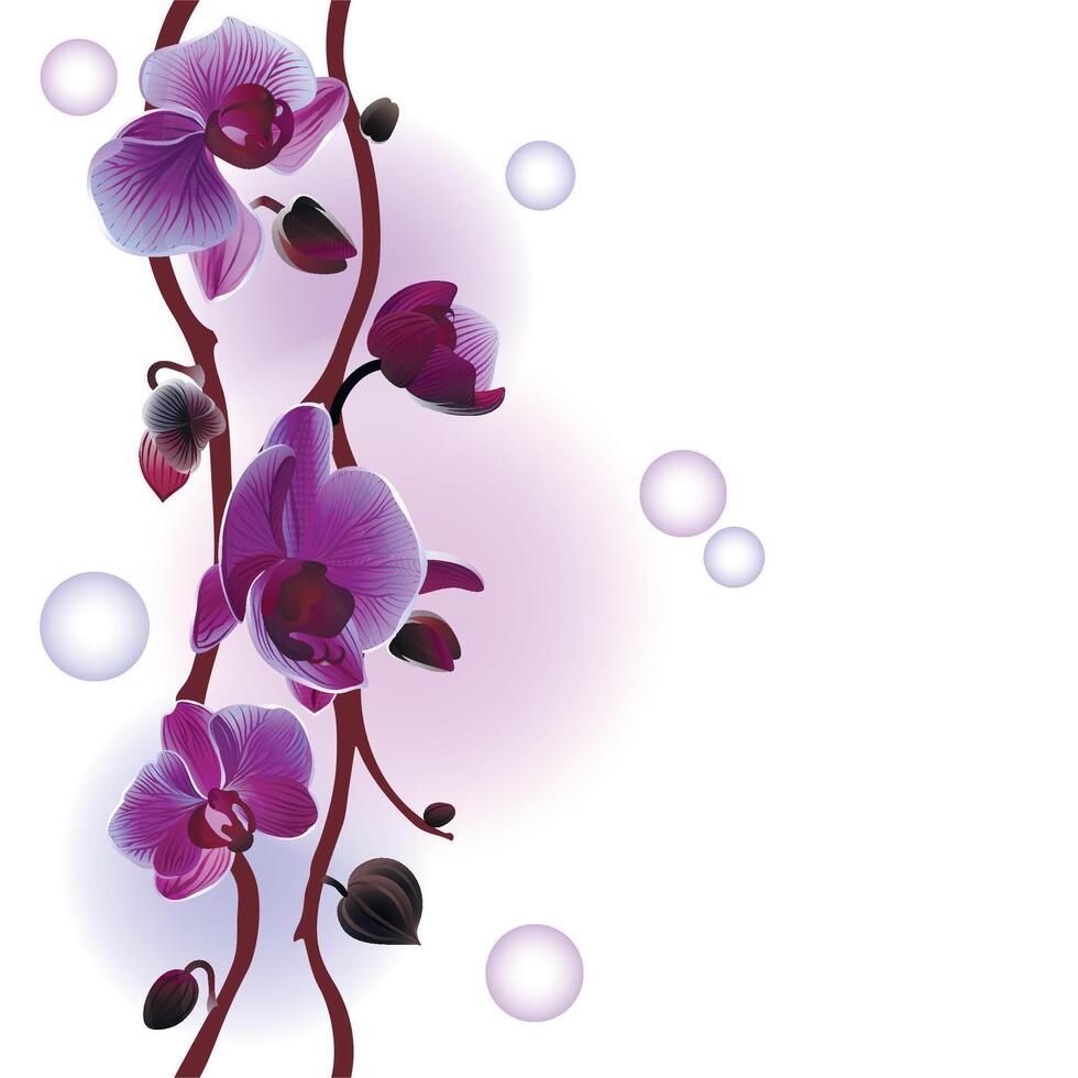 Seamless background with orchids branch vector