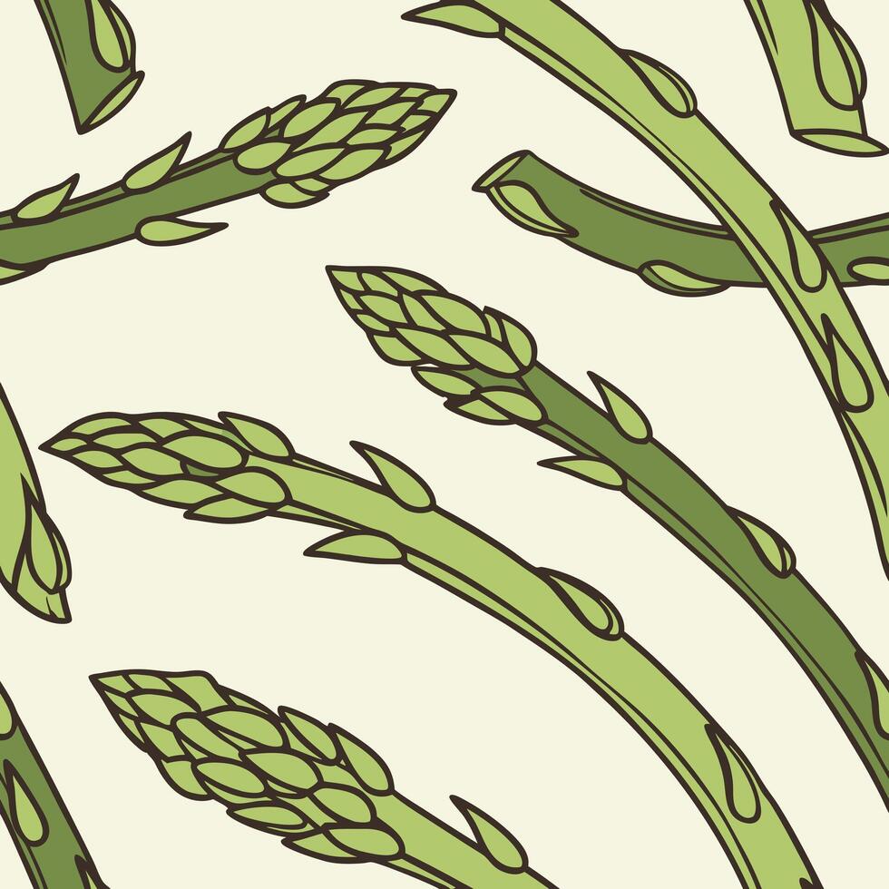 Asparagus seamless pattern vector