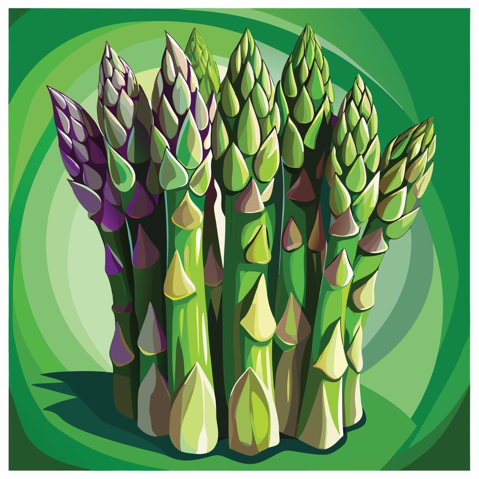 illustration of asparagus on green background vector