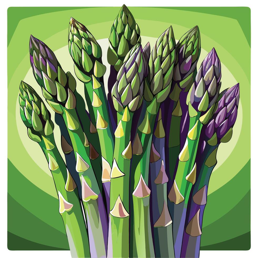 A bunch of green asparagus stems on a green background vector