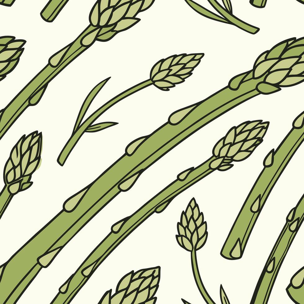 Asparagus seamless pattern illustration vector