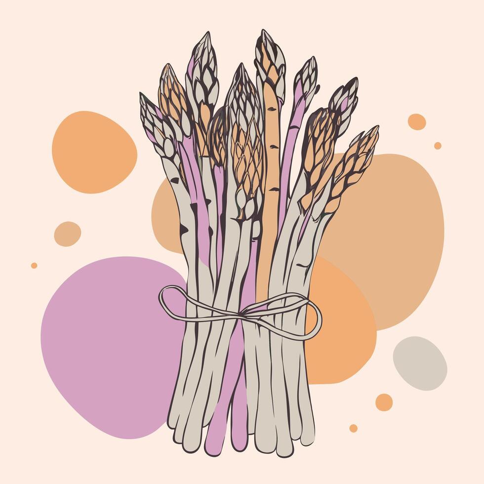 A bunch of asparagus is shown in a colorful background vector