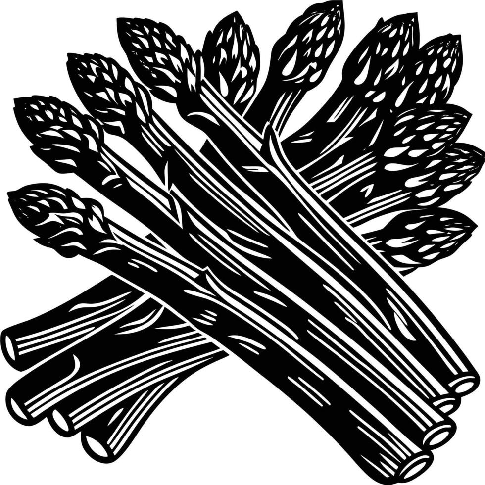 Asparagus clip art vector