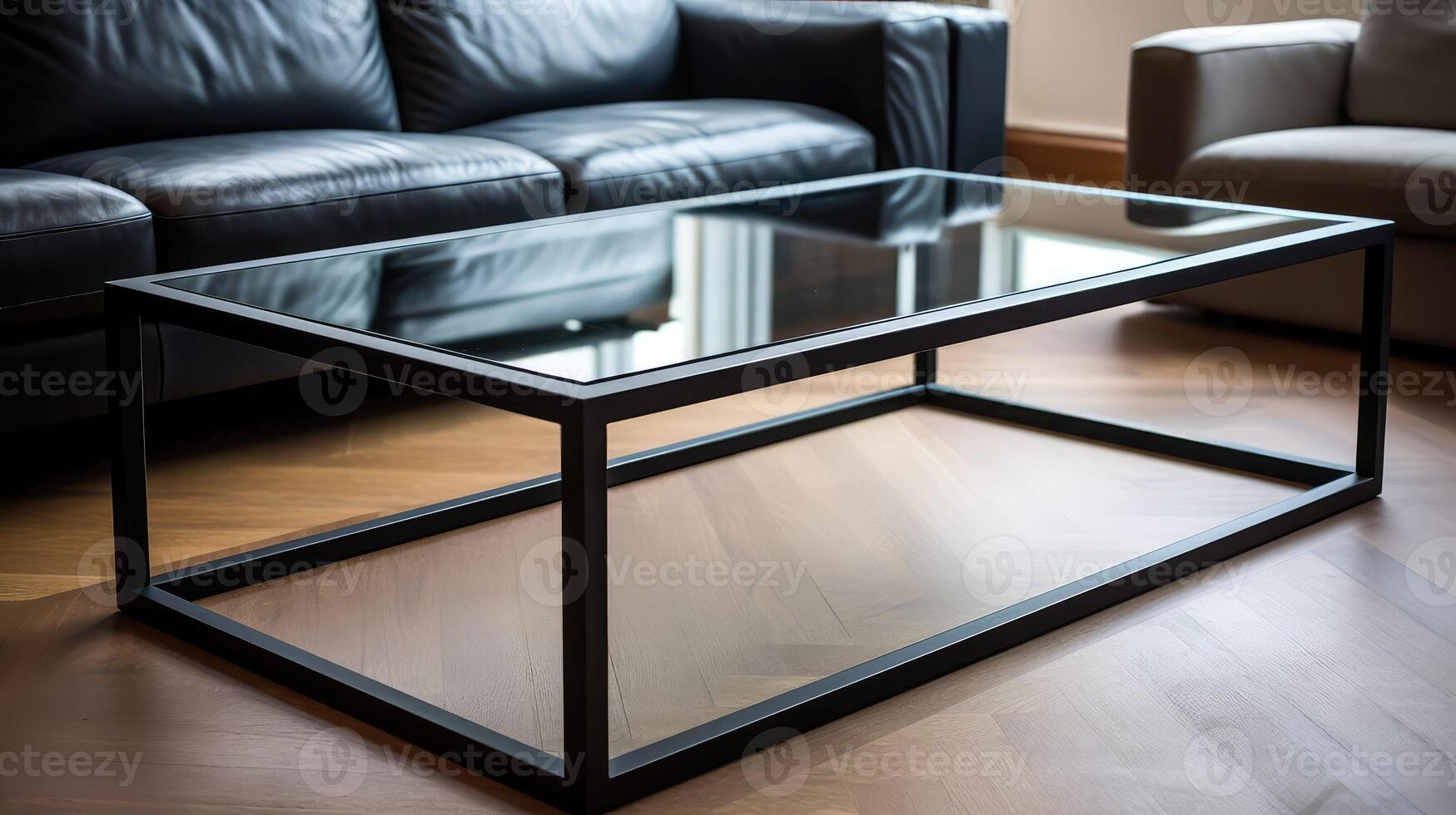 modern metal frames photo