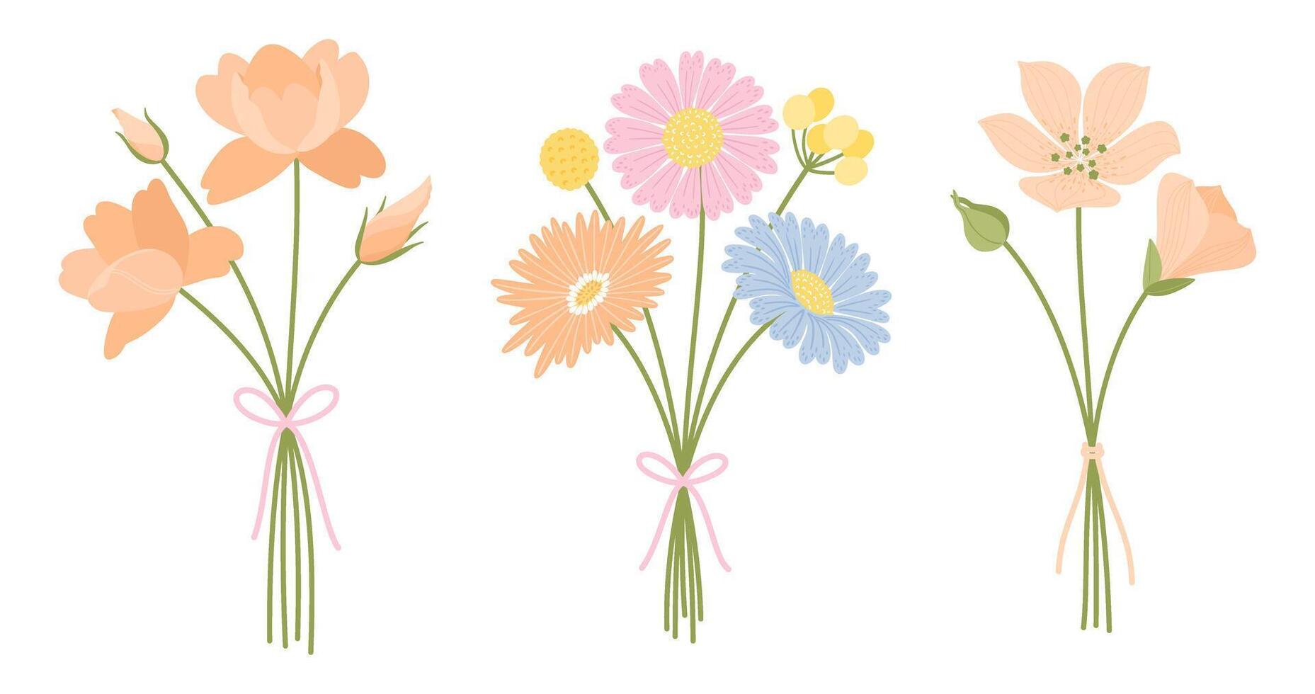 Set of bunch wildflowers. Floral bouquet. Flowers tied with ribbon. Meadow herbs, and wild plants for design projects vector