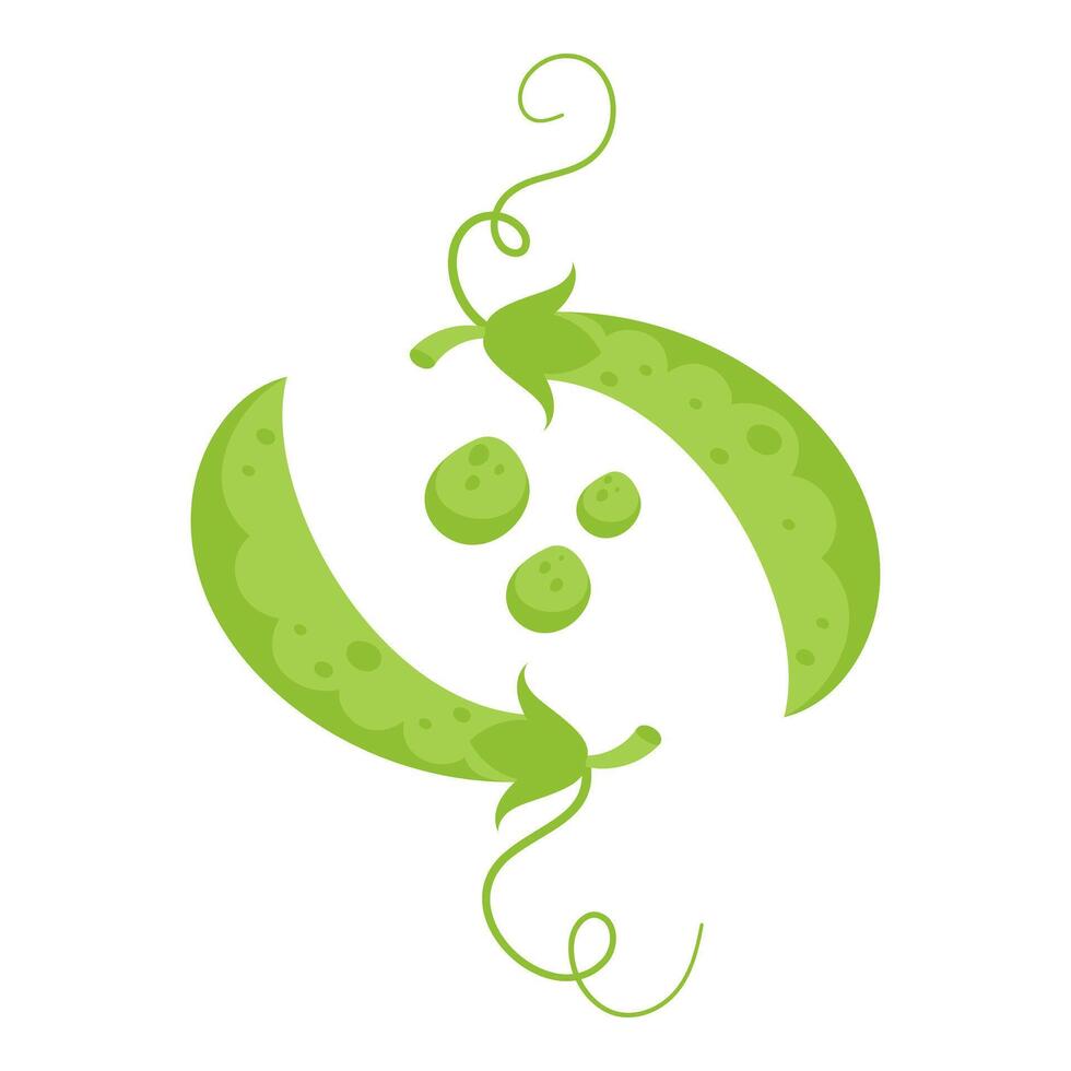 Green Pea Pod with Loose Peas Hand Drawn on White Background vector