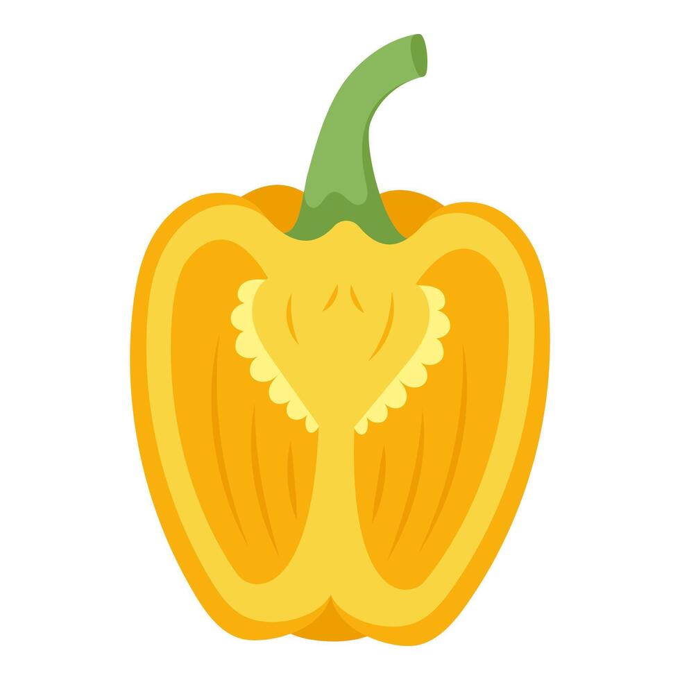 Yellow Bell Pepper Cross Section Hand-Drawn on White Background vector