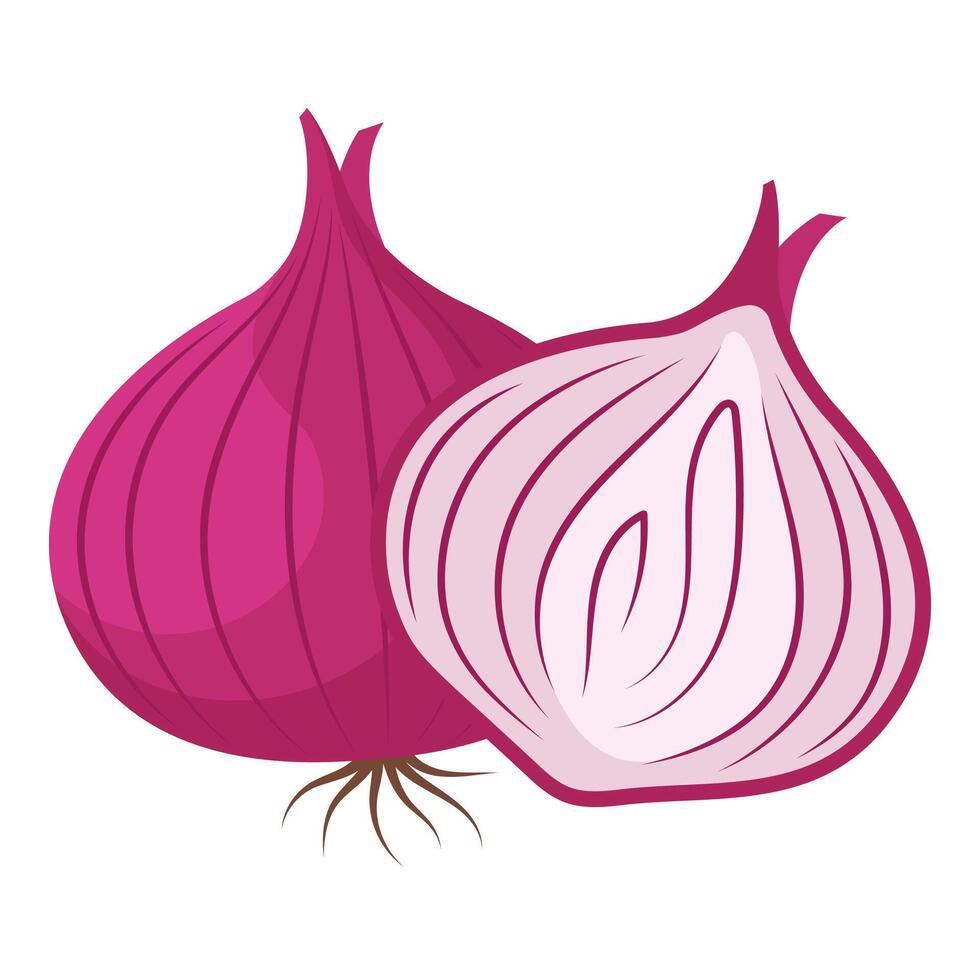 Onion Whole and Sliced HandDrawn Illustration on White Background vector