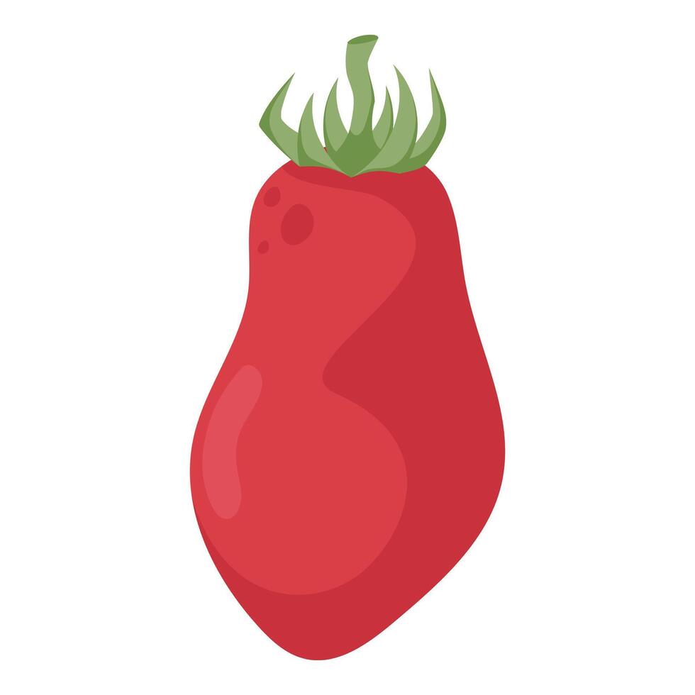 Red Tomato Hand Drawn on White Background vector