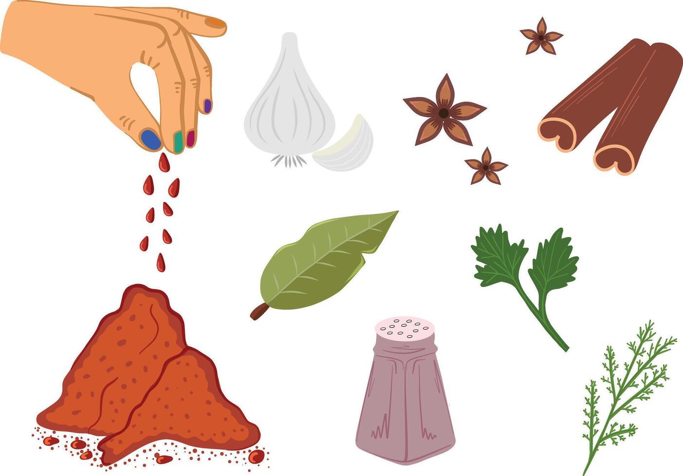 set of herbs and spices. Menu, kitchen vector