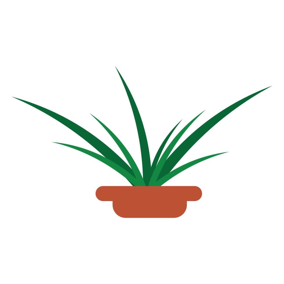Long green grass in a pot vector