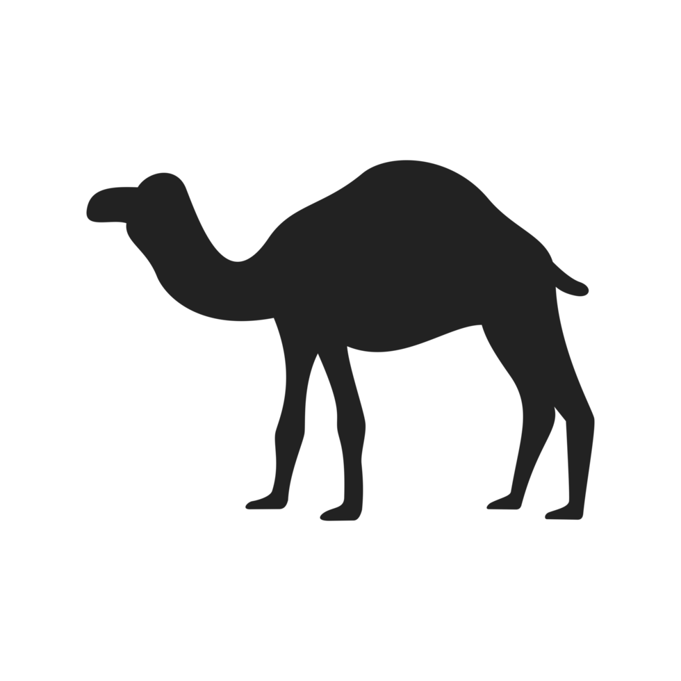 One Humped Camel Silhouette png