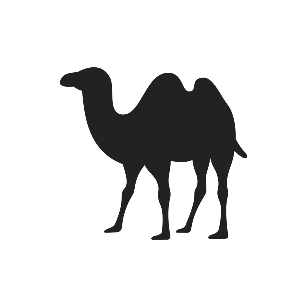 Silhouette of A Two Humped Camel png