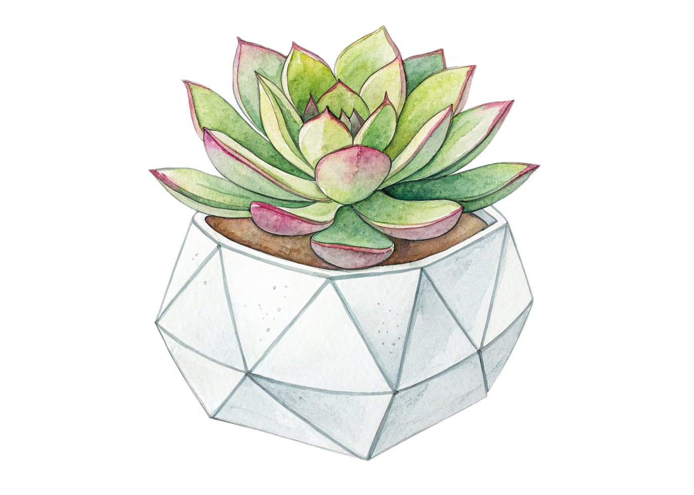 Succulent in a geometric pot png