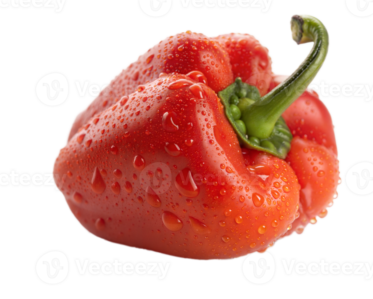 Habanero pepper with fresh water droplets, spicy and vibrant png