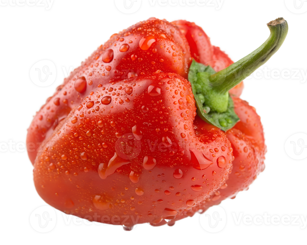 Fresh habanero pepper with water droplets on transparent background png