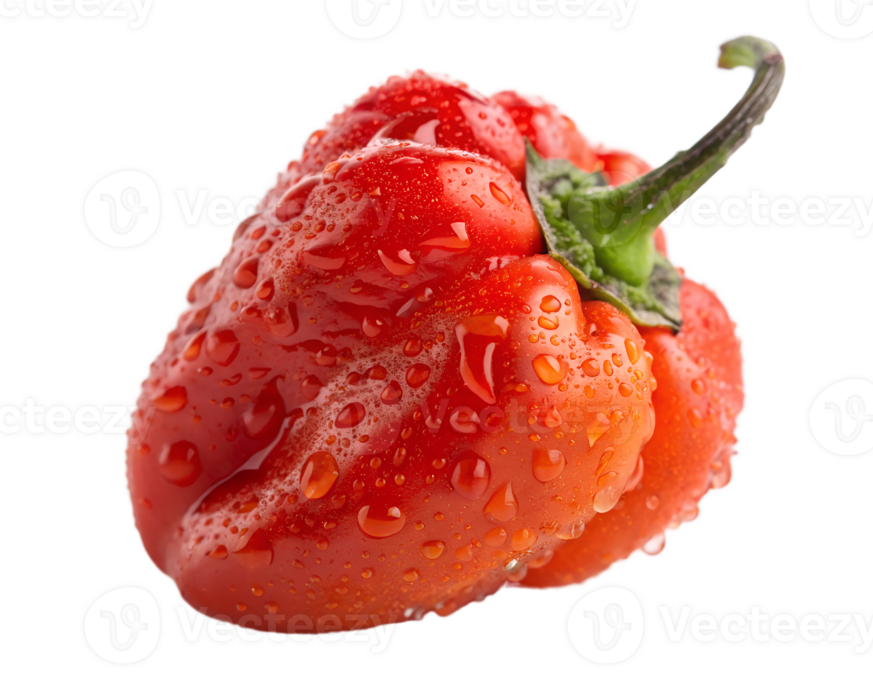 Fresh Habanero Pepper With Water Droplets, Spicy Ingredient On Transparent Background png