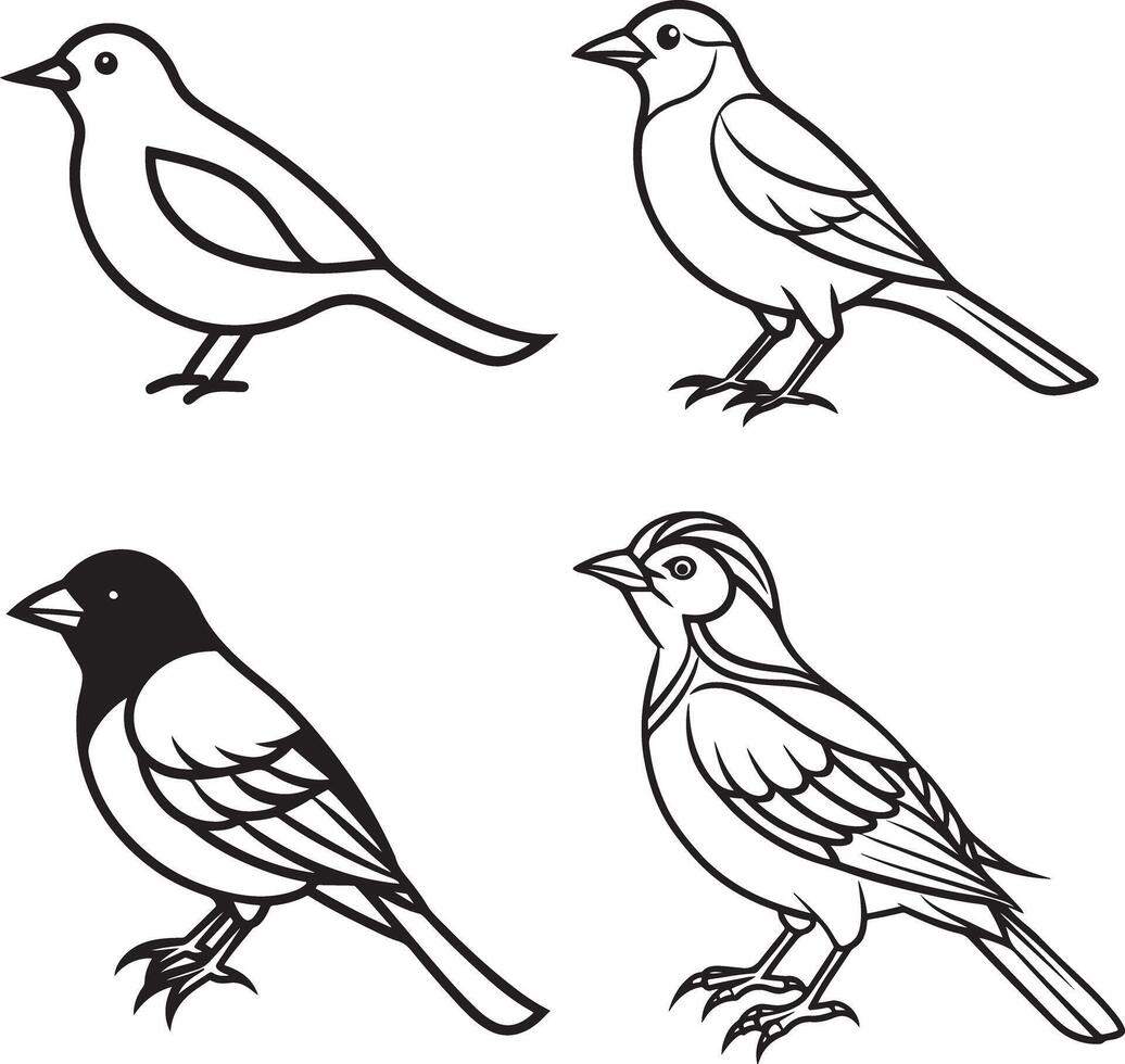 parrot illustration design icon image vector