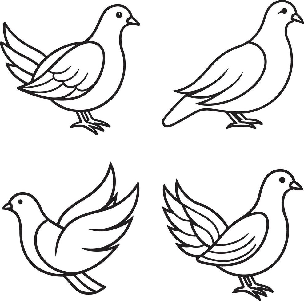line art dove art icon illustration vector