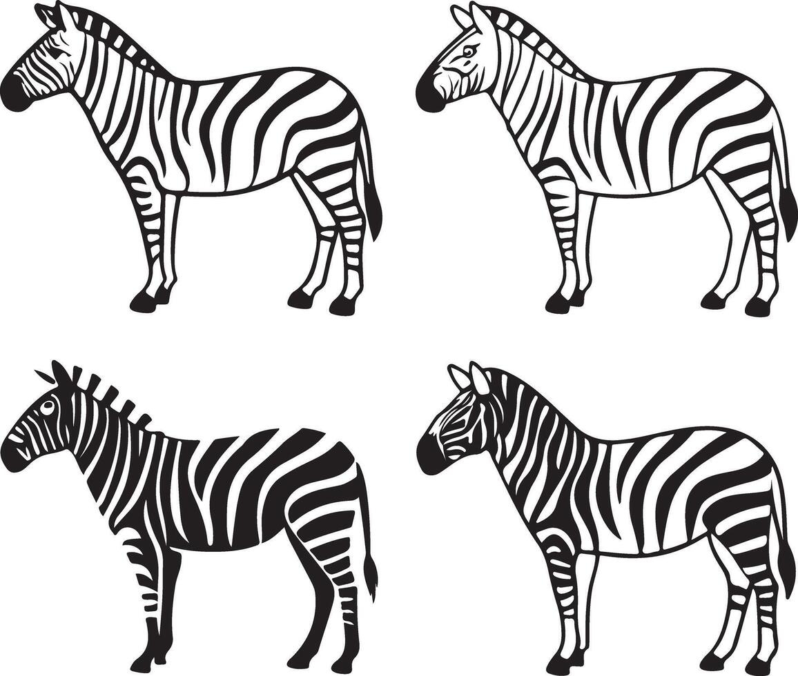 Zebra line art design set icon vector