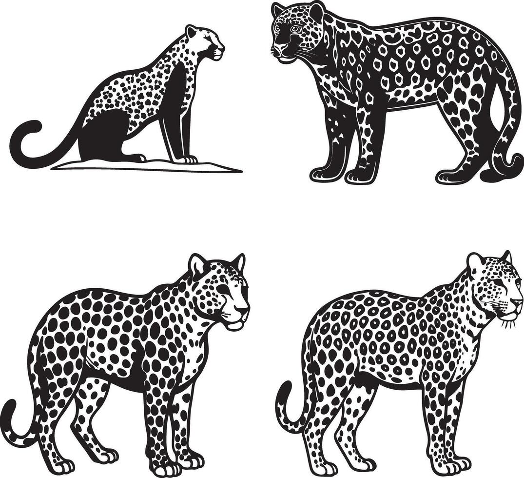 Jaguar line art illustration icon vector