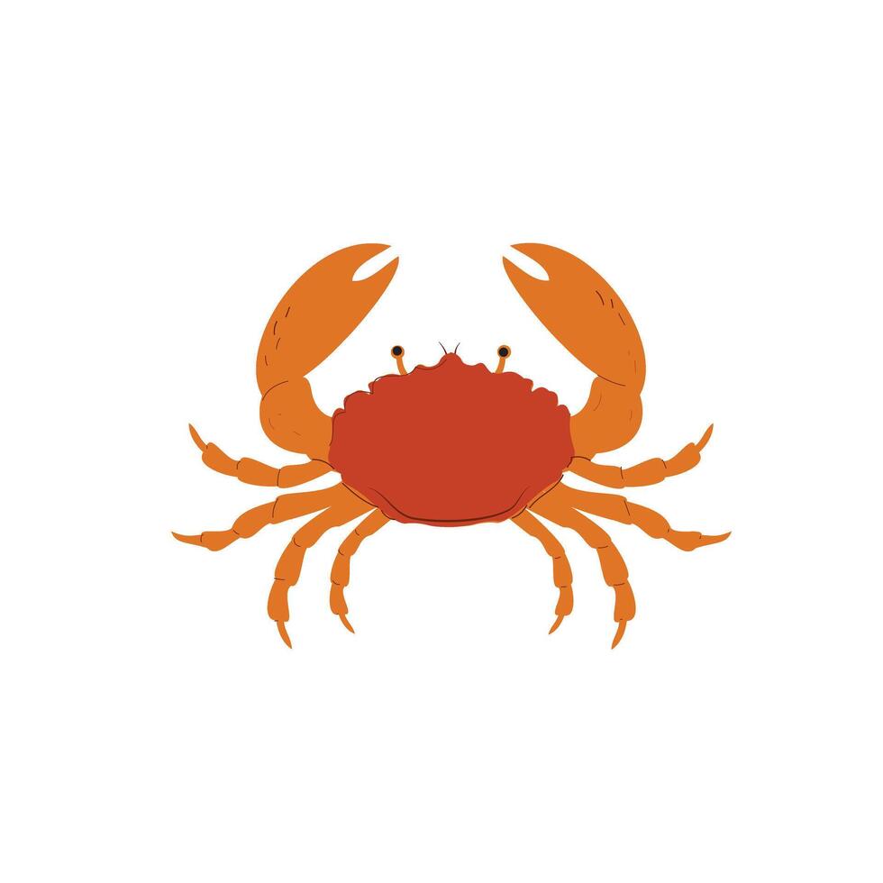 Hand drawn Crab. Seafood shop logo, signboard, restaurant menu, fish market, banner, poster design template. Fresh seafood or shellfish product. vector
