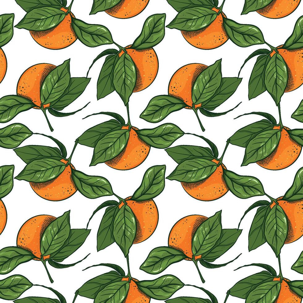 Citrus summer seamless pattern, orange on branches with leaves. Mandarin Fruits background. Tropical fabric, textile design with tangerine vector