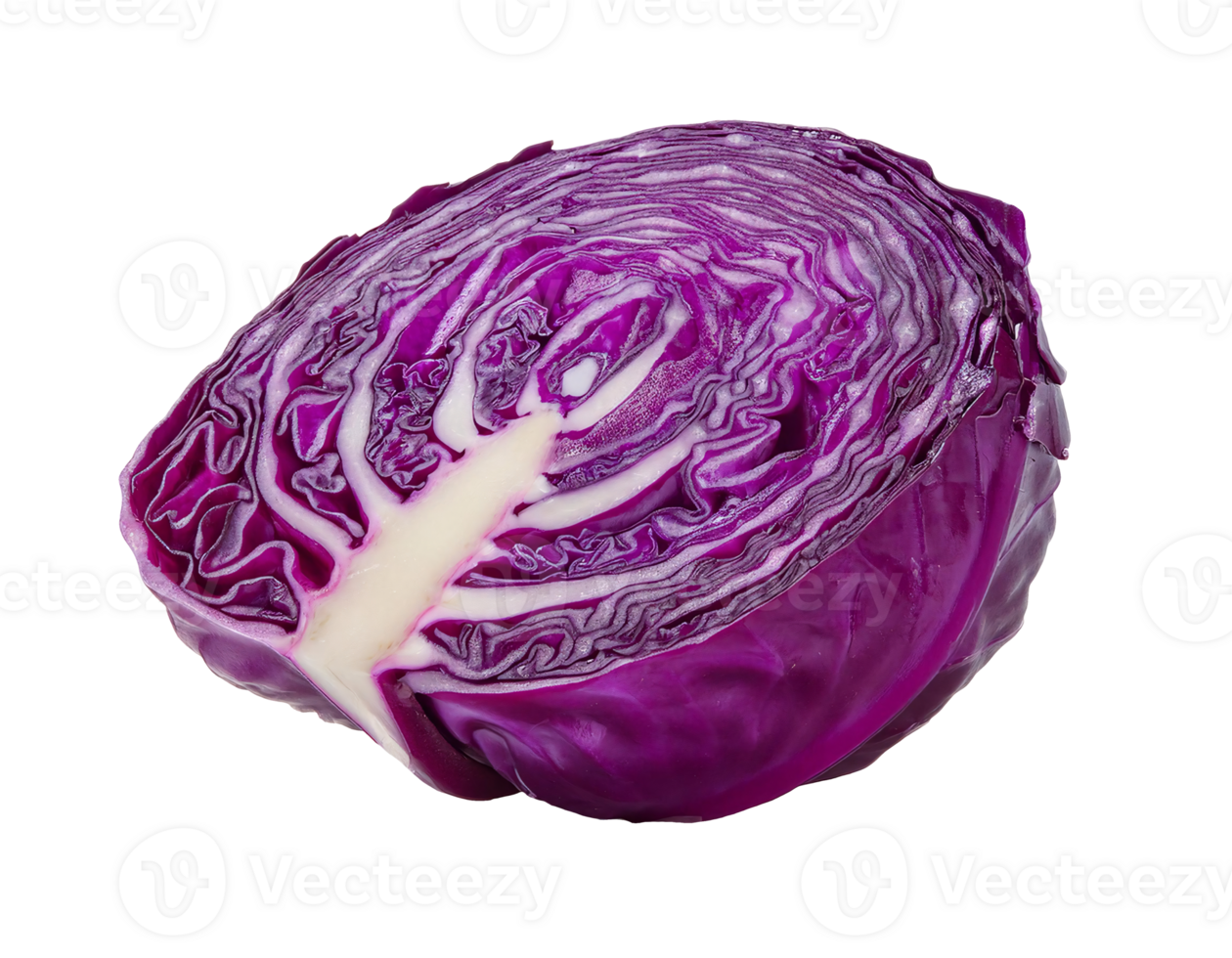fresh half-cut purple cabbage on isolated background, vibrant red cabbage vegetable with intricate layers, organic healthy food rich in antioxidants and vitamins png