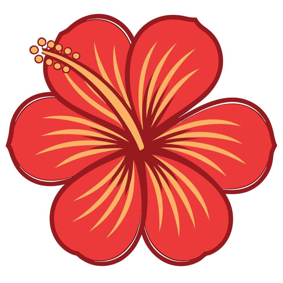 High Quality Hibiscus vector
