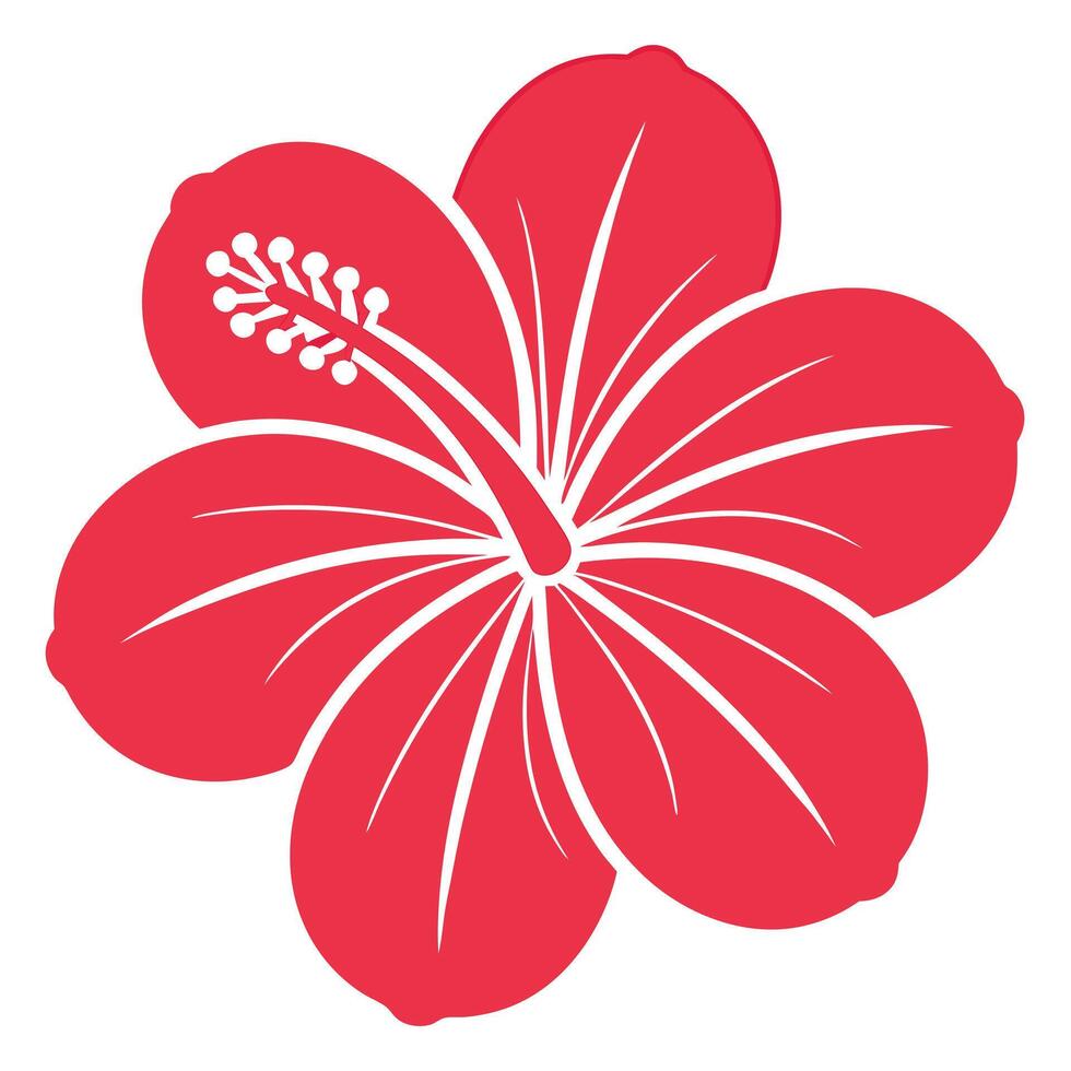 Simple Hibiscus Clipart vector