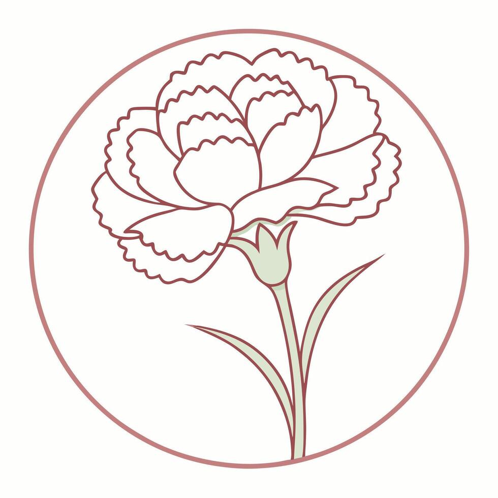 Botanical Carnation Symbol vector