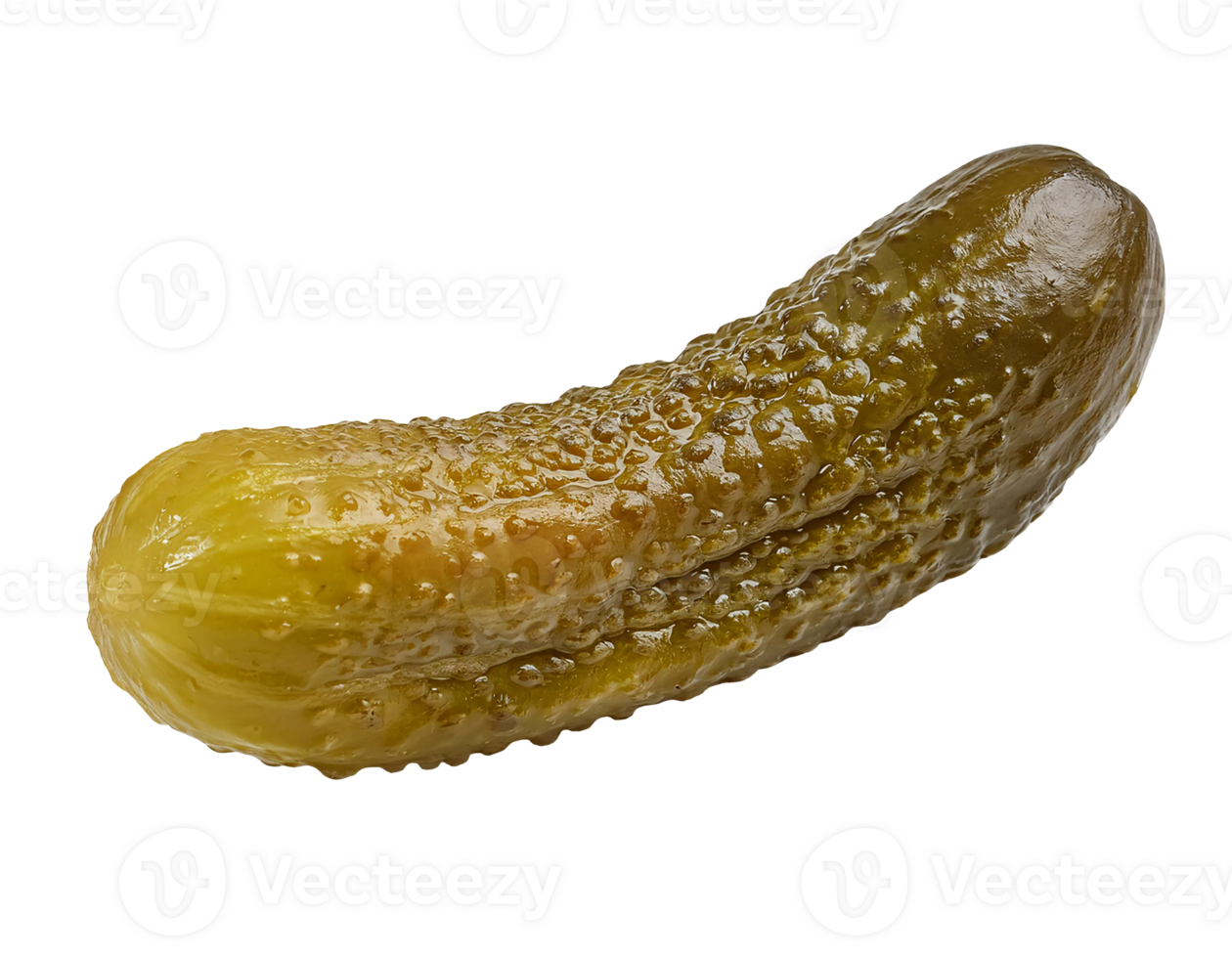 whole pickled cucumber on isolated background, glossy fermented gherkin, preserved crunchy dill pickle for culinary and gourmet cooking png