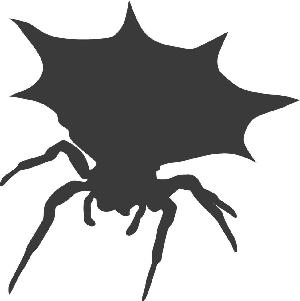 House spider silhouette vector