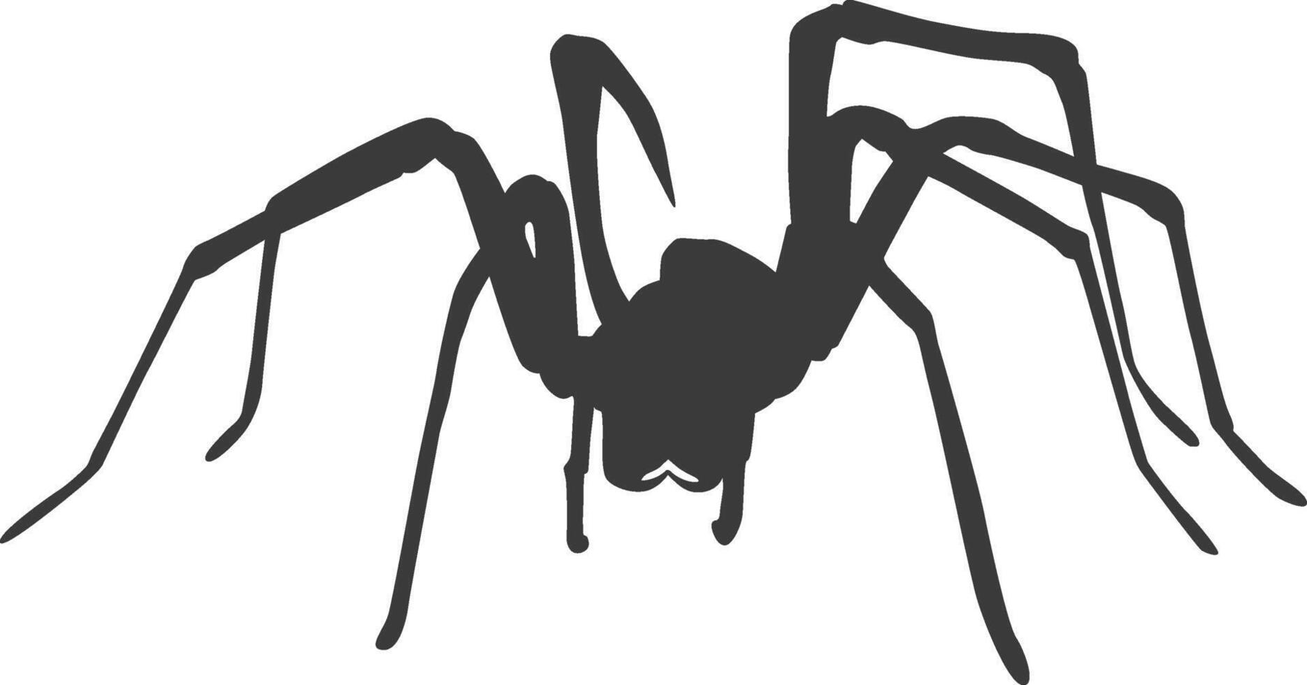 Silhouette of black spider vector