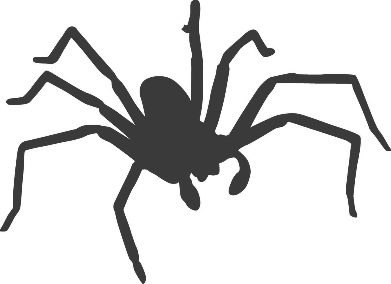 Black spider silhouette vector