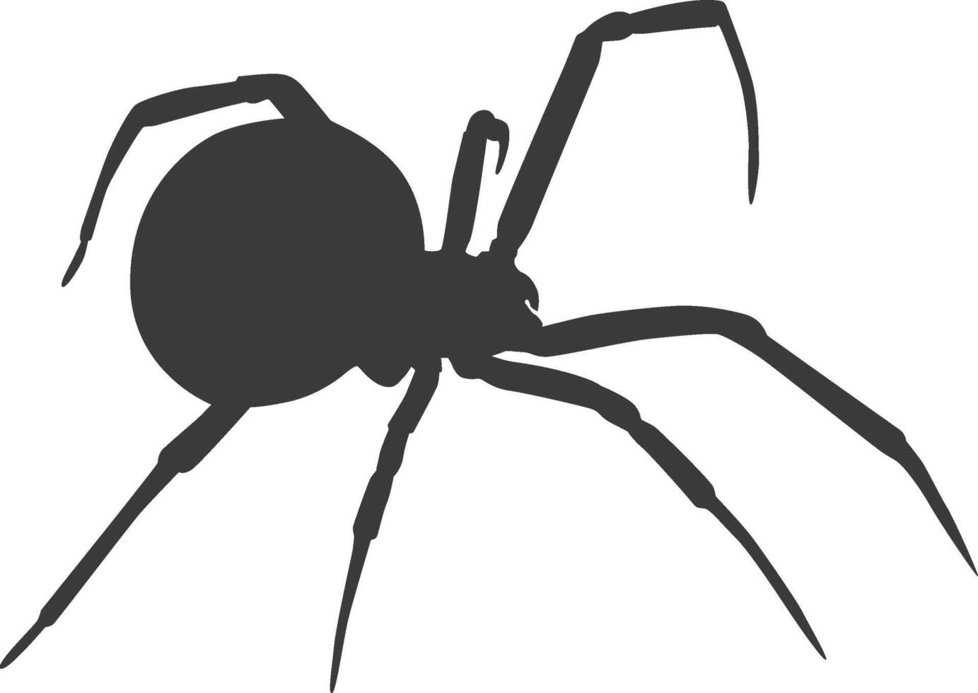 Spider silhouette illustration vector