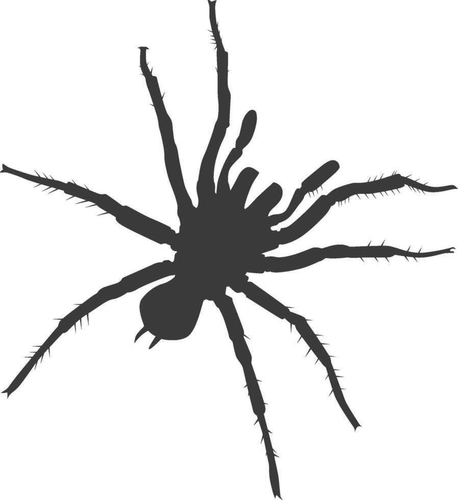Tarantula silhouette illustration vector