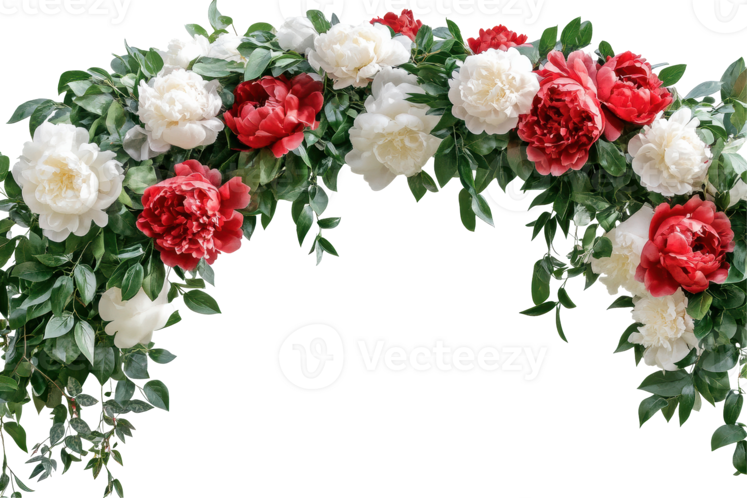 Floral arch with red and white peonies isolated on transparent background png
