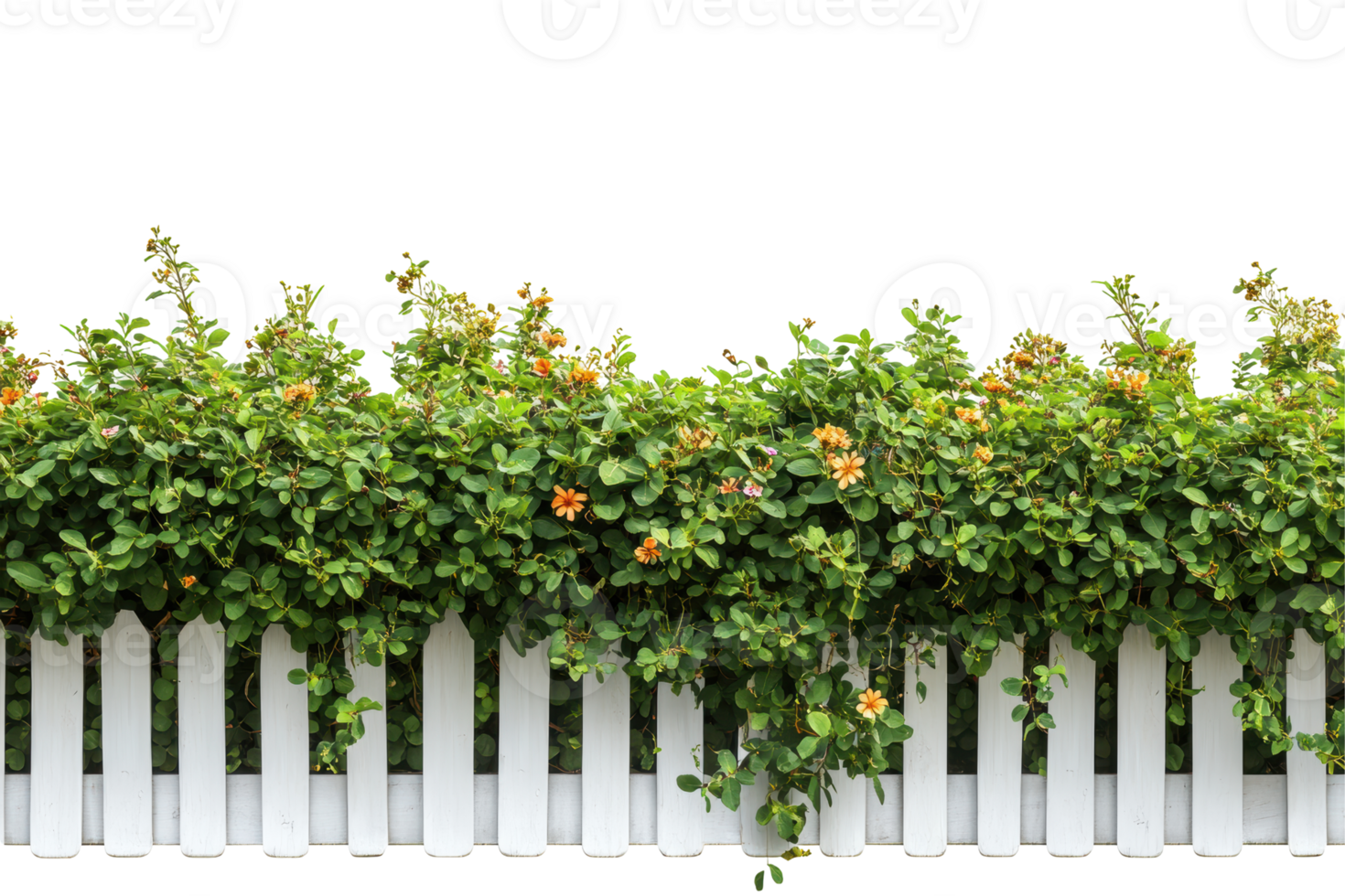 White picket fence with green bush and flowers isolated on transparent background png