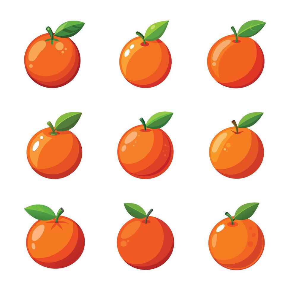 Orange fruit sticker set vector