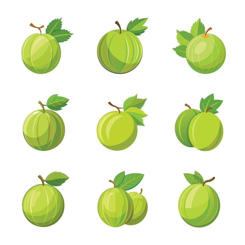 Gooseberry fruit set vector