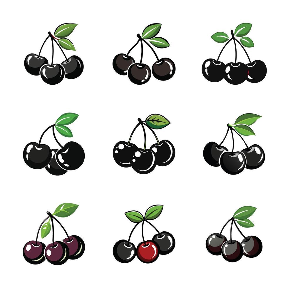 Elderberry fruit set vector