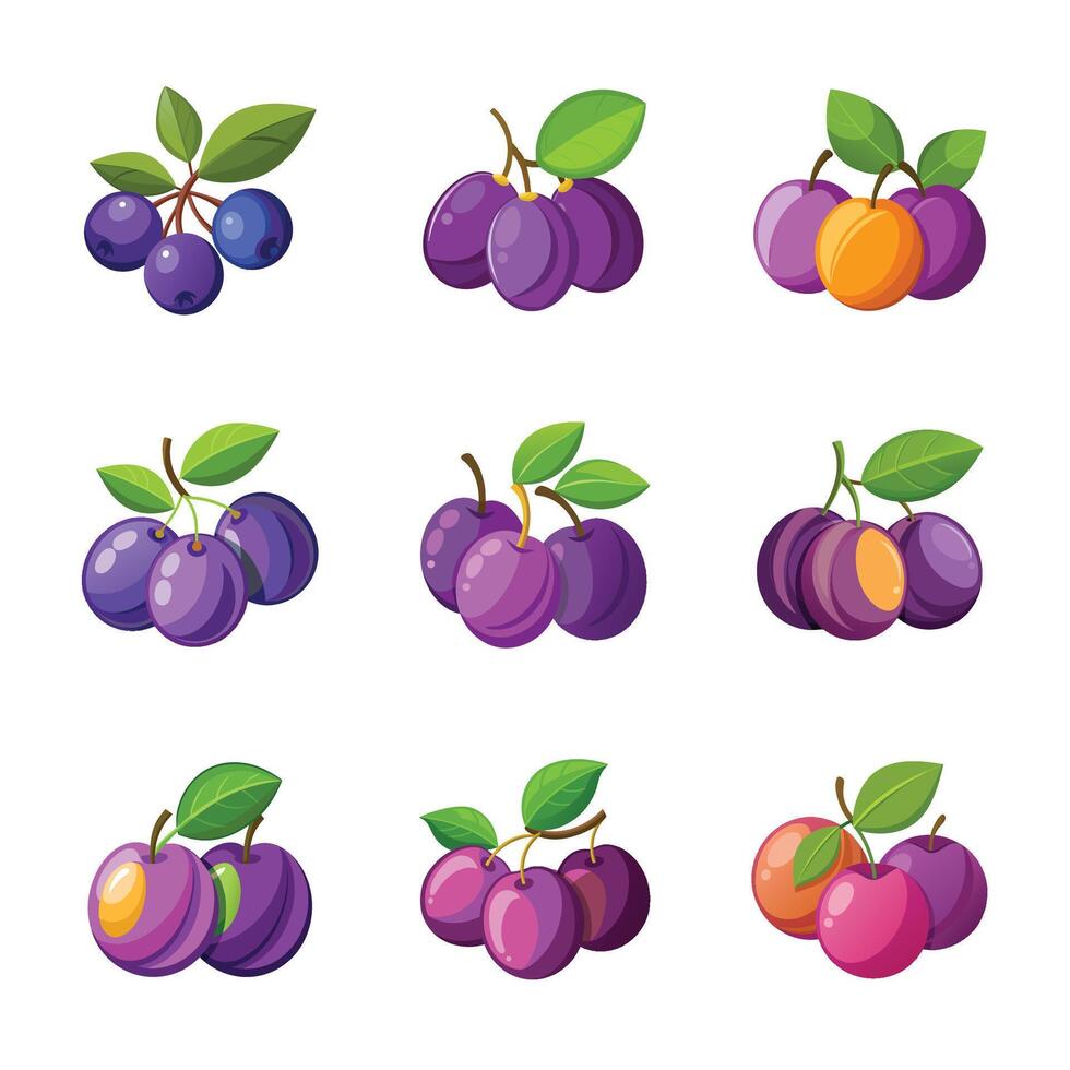 Plum fruit set vector