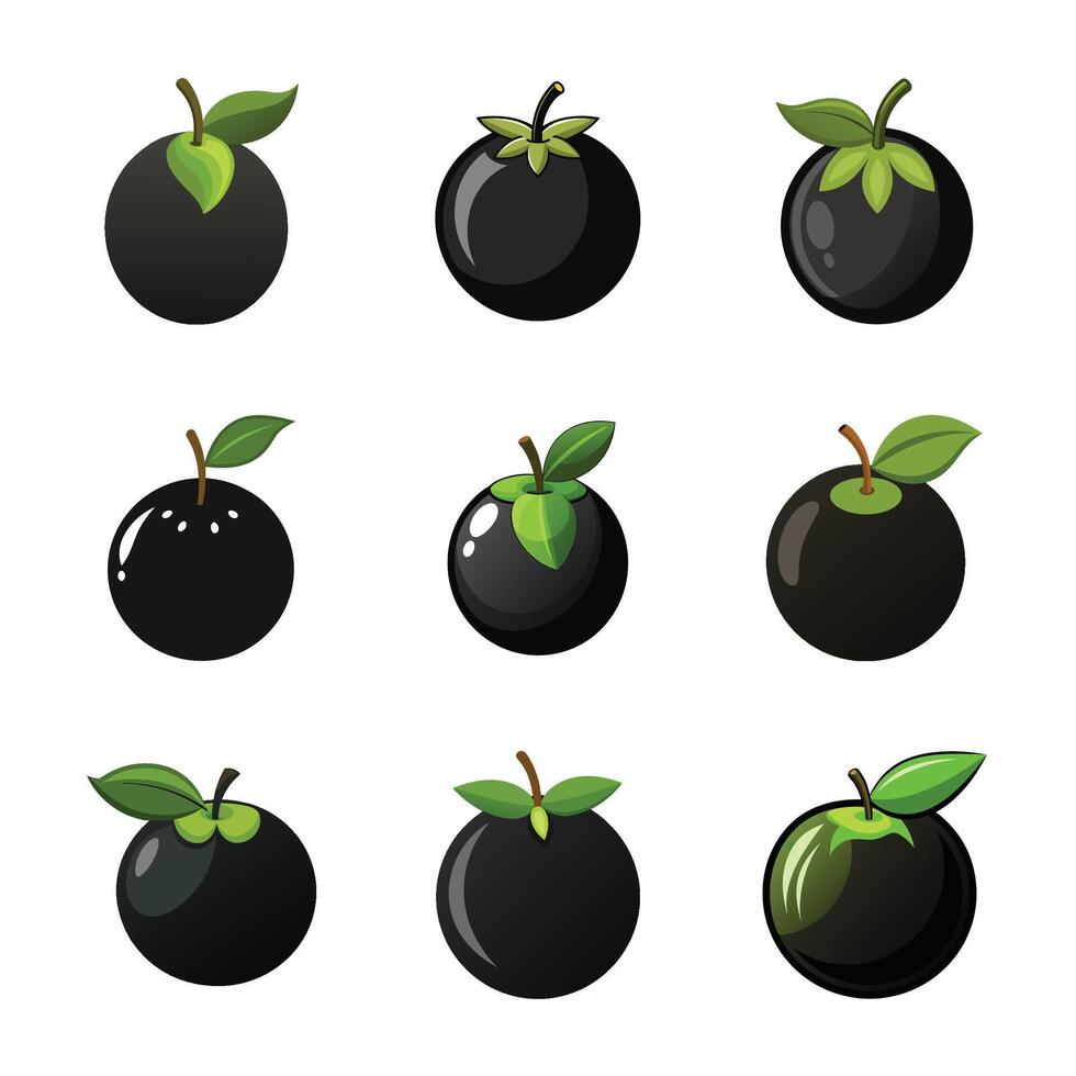 Fruit set isolated vector