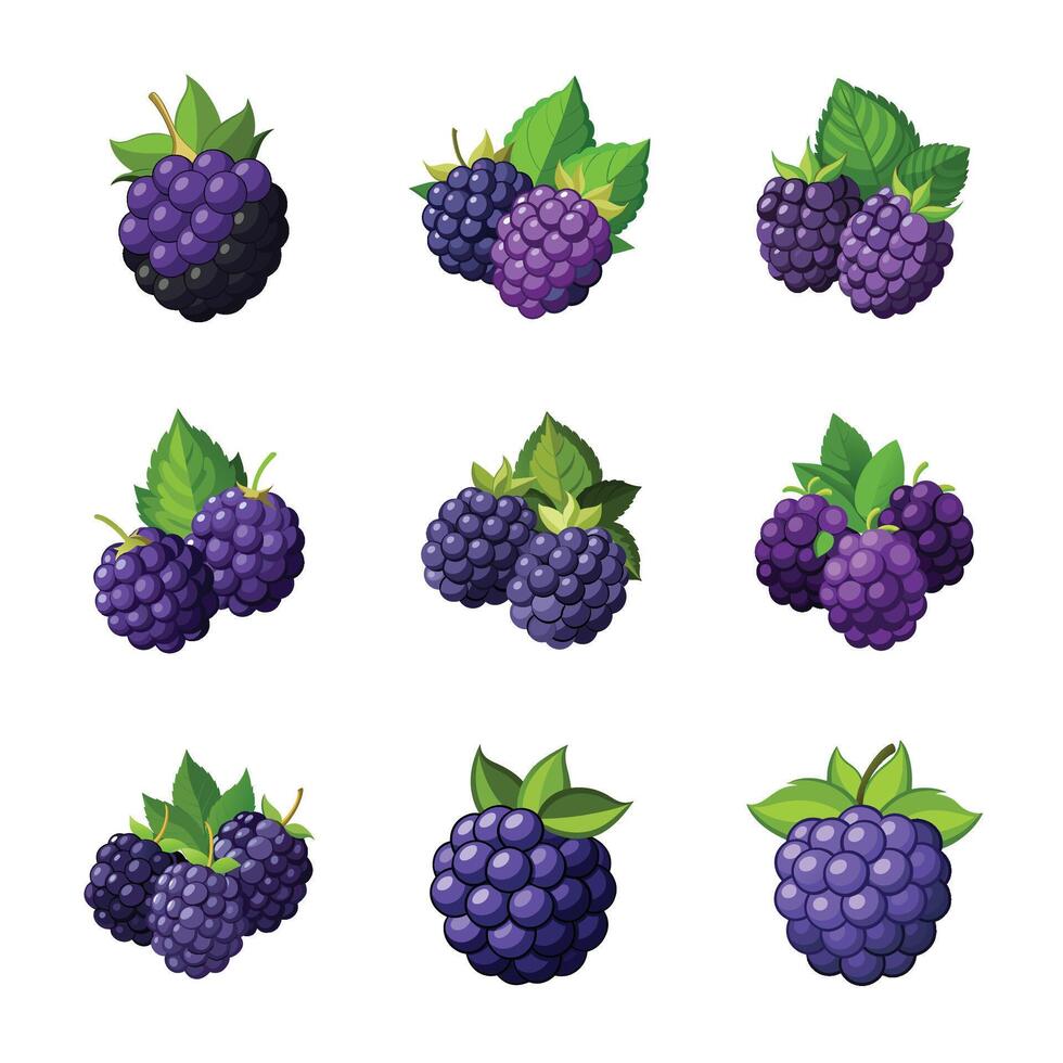 Set of fresh grapes fruit in cartoon style vector