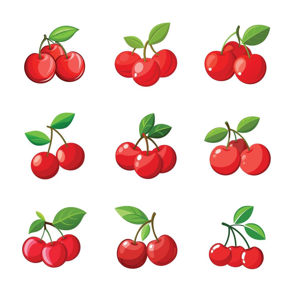 Red cherry fruit set vector